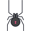 Black Widow Spider icon