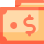 Pay Cash icon