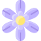 Sisyrinchium icon