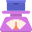 Weight Scale icon