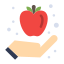 Apple icon