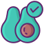 Avocado icon