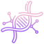 Dna icon