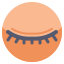 Eyelashes icon