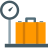 Baggage Weight icon