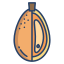 Kumquat icon