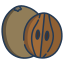 Sapodilla icon