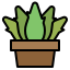 Aloevera icon