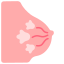 Breast icon