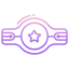 Champion Belt icon