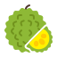 Jackfruit icon