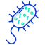 Bacteria icon