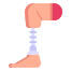 Leg Prothesis icon