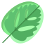 Calathea Leaf icon