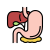 gastrointestinal icon