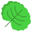 Watercress Leaf icon