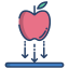 Apple icon