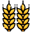 Barley icon