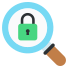 search lock icon