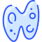 Amoeba icon