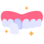 Dental Veneer icon