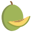 Cantaloupe icon