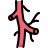 Anatomy icon