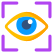 Iris Recognition icon