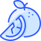 Grapefruit icon