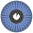 Blue Eye icon