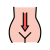 digestion system icon