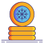 Coin icon