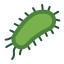 Bacteria icon