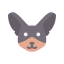 Chihuahua icon