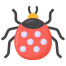 Ladybug icon