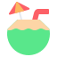 Coconut Drink icon