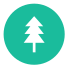 Fir Tree icon