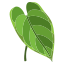 Anthurium icon