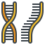 Dna icon