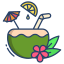 Coconut Drink icon