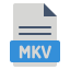 MKV icon