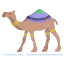 Dromedary icon