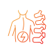 Degenerative Scoliosis icon