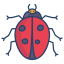 Ladybug icon