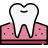 Premolar icon