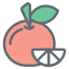 Citrus icon