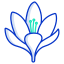 Crocus icon