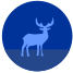 Animal icon