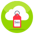 Cloud Seo Tag icon