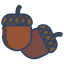 Acorn icon